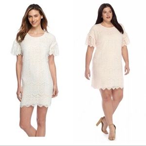NWT The Limited Lace Flutter Sleeve Dress